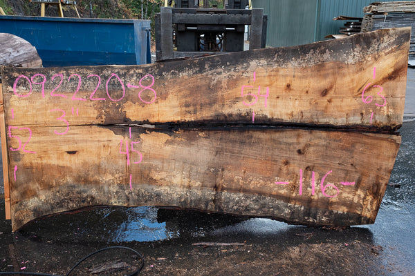 Oregon White Oak Slab 092220-08