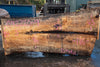 Oregon White Oak Slab 092220-09