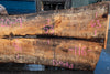 Oregon White Oak Slab 092220-09