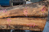 Oregon White Oak Slab 092220-10