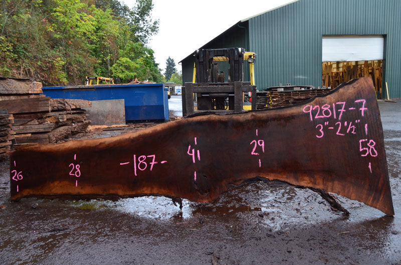 Oregon Black Walnut Slab 092817-07