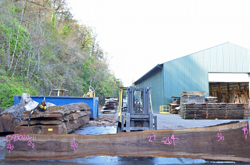 Oregon Black Walnut Slab 093020-11
