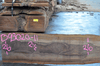 Oregon Black Walnut Slab 093020-11