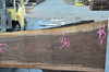 Oregon Black Walnut Slab 093020-11