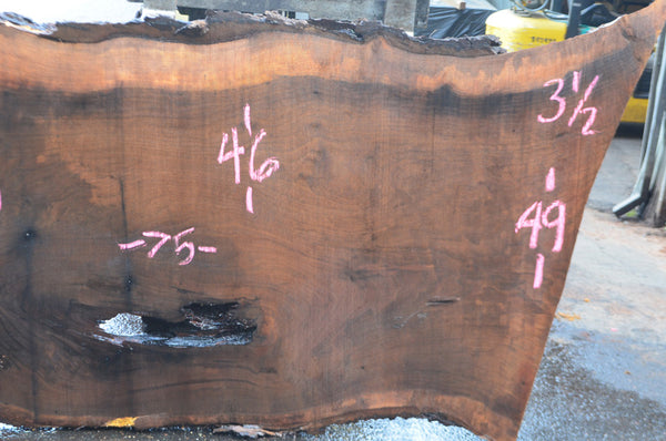 Oregon Black Walnut Slab | Goby Walnut