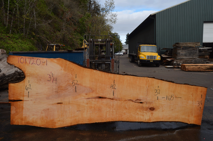 Big Leaf Maple Slab 101720-01