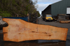 Big Leaf Maple Slab 101720-01