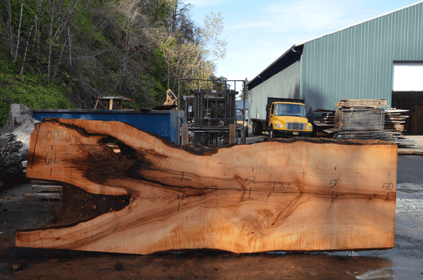 Big Leaf Maple Slab 101720-06