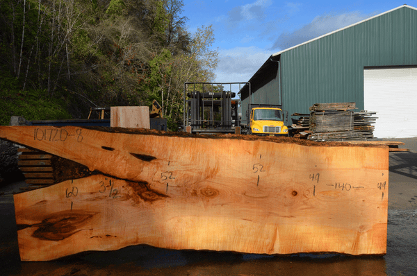 Big Leaf Maple Slab 101720-08