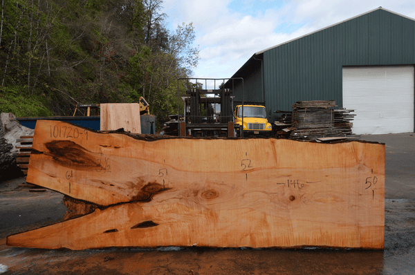 Big Leaf Maple Slab 101720-09