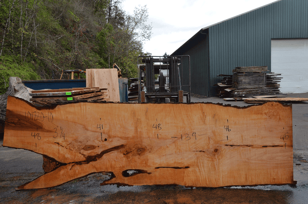 Big Leaf Maple Slab 101720-10