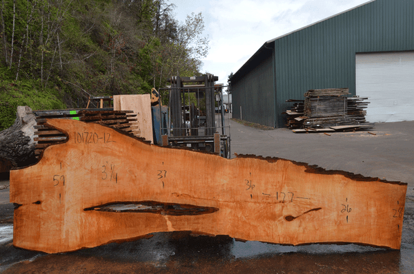 Big Leaf Maple Slab 101720-12