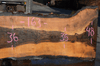 Oregon Black Walnut Slab 102317-01
