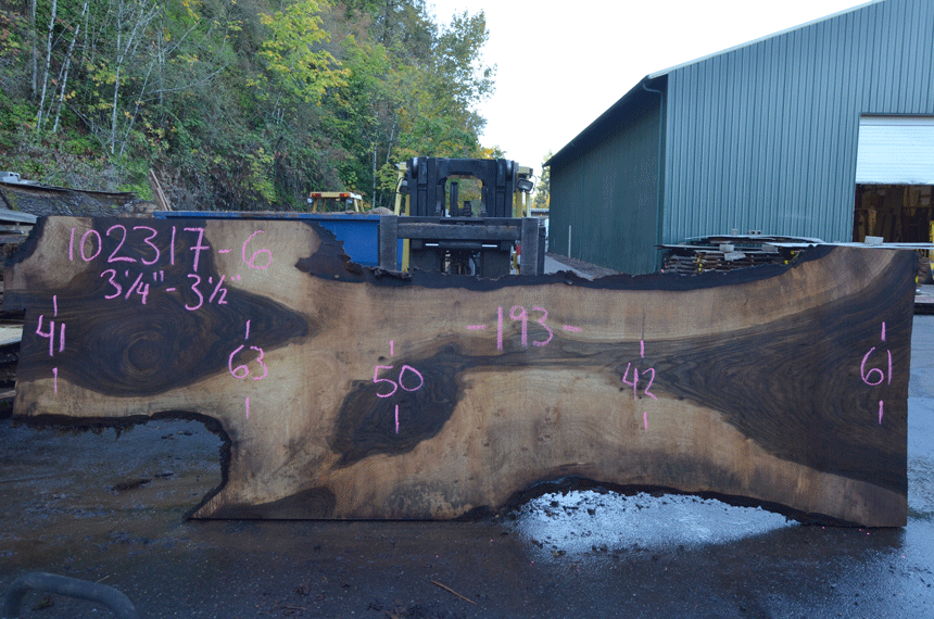 Oregon Black Walnut Slab 102317-06
