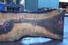 Oregon Black Walnut Slab 102317-06