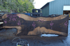 Oregon Black Walnut Slab 102317-07