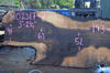 Oregon Black Walnut Slab 102317-07