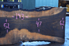 Oregon Black Walnut Slab 102317-07