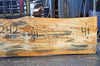Oregon Fir Slab 102516-03
