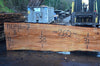 Oregon Fir Slab 110816-07
