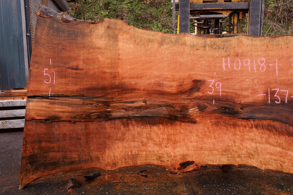 110918-01 Sycamore Slab – Goby Walnut