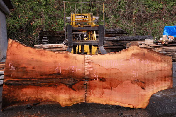 110918-02 Sycamore Slab