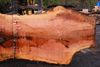 110918-02 Sycamore Slab