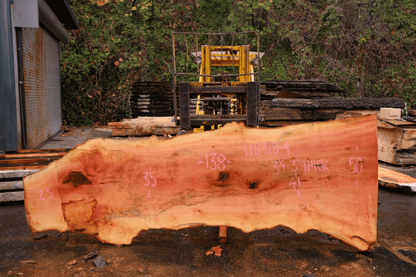 110918-04 Sycamore Slab