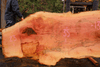 110918-04 Sycamore Slab