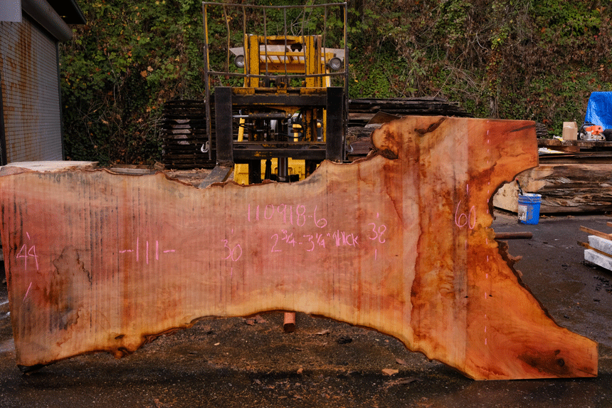 110918-06 Sycamore Slab