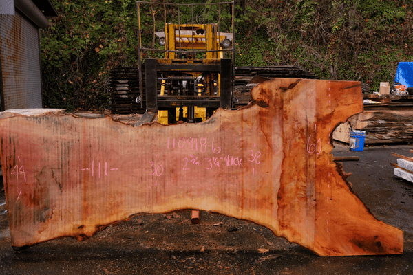 110918-06 Sycamore Slab