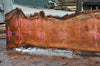 Oregon Redwood Slab 111816-10