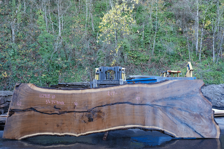 112918-10 Oregon Black Walnut Slab
