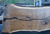 112918-10 Oregon Black Walnut Slab