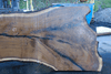 112918-10 Oregon Black Walnut Slab