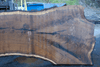 112918-11 Oregon Black Walnut Slab
