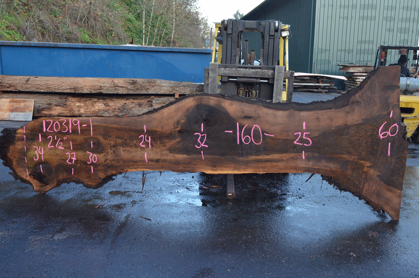 Oregon Black Walnut Slab 120319-01