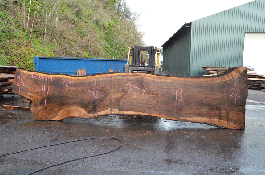 Oregon Black Walnut Slab 120319-09