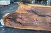122118-01 Elm Slab