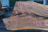 122118-05 Elm Slab
