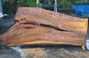 122118-07 Elm Slab