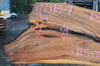 122118-07 Elm Slab