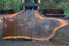 Oregon Black Walnut Slab 122414-07