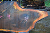 Oregon Black Walnut Slab 122414-07