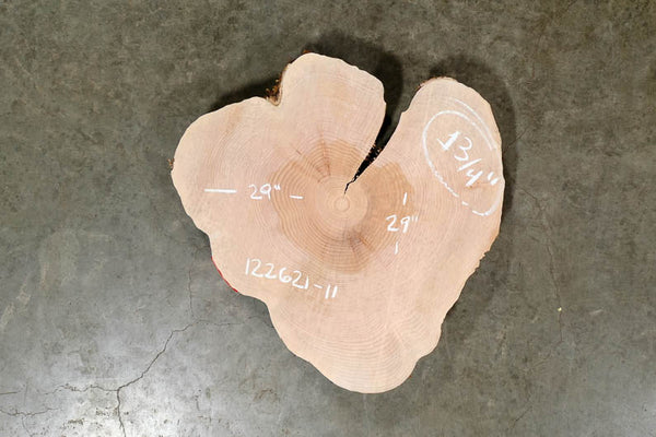 Big Leaf Maple Round 122621-11