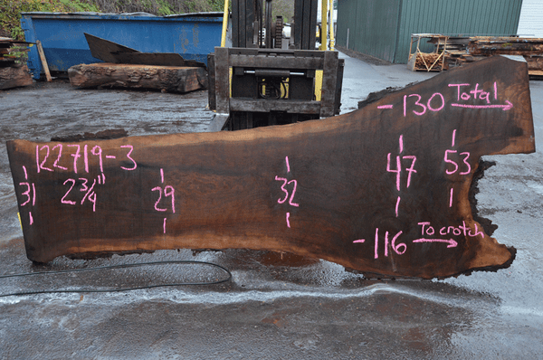 Oregon Black Walnut Slab 122719-03