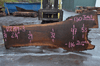 Oregon Black Walnut Slab 122719-03