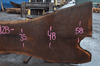 Oregon Black Walnut Slab 122719-04