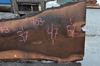 Oregon Black Walnut Slab 122819-03