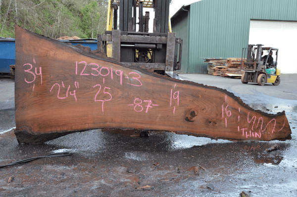 Elm Slab 123019-03